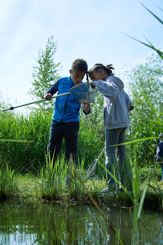 Kinder am Teich